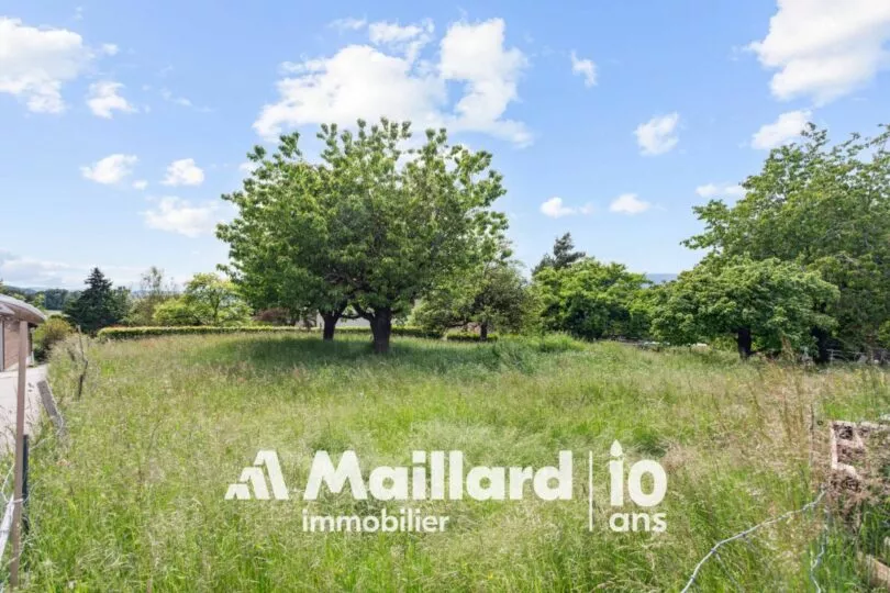 Terrain constructible