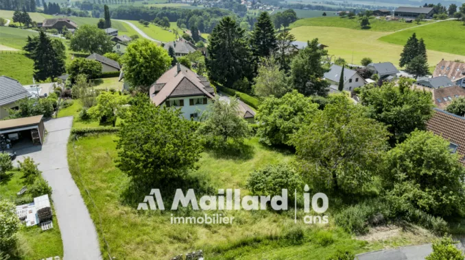 Terrain constructible