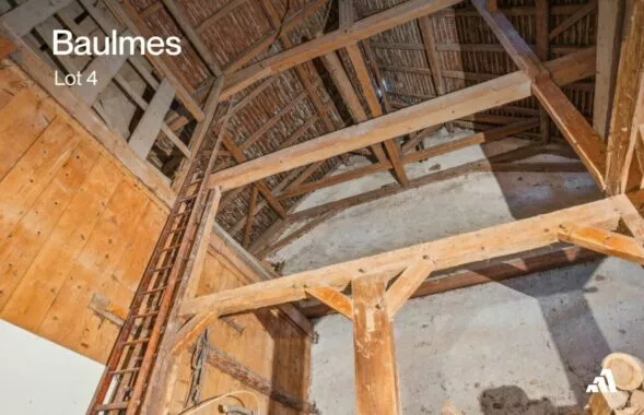 Baulmes – Artisanal – Grand rural à aménager