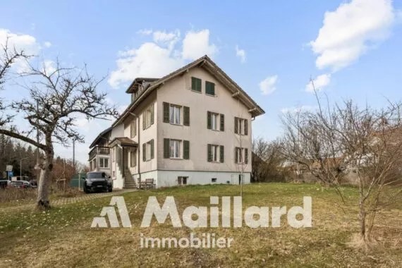 Petit immeuble de rendement